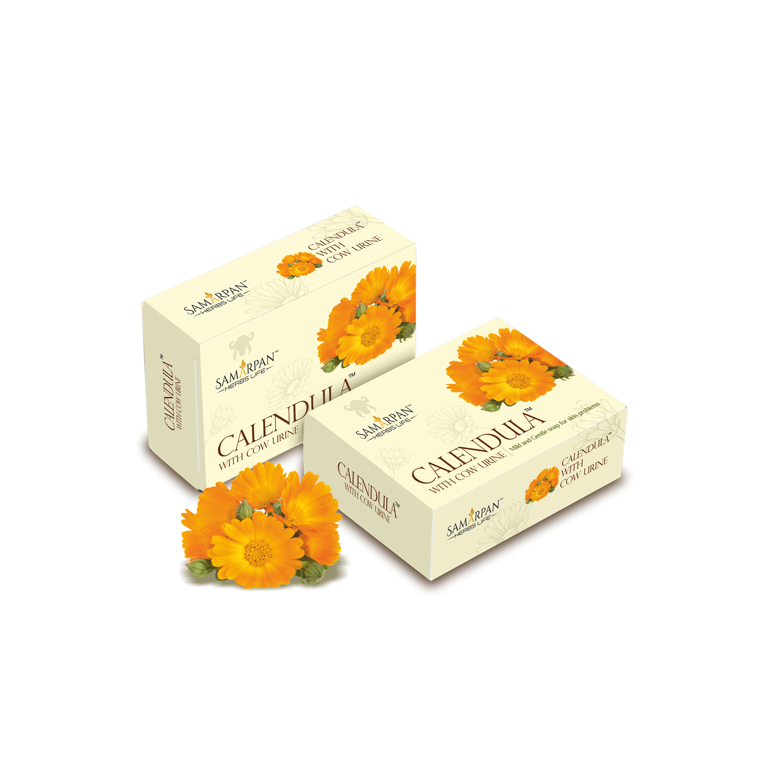 Calendula Soap_