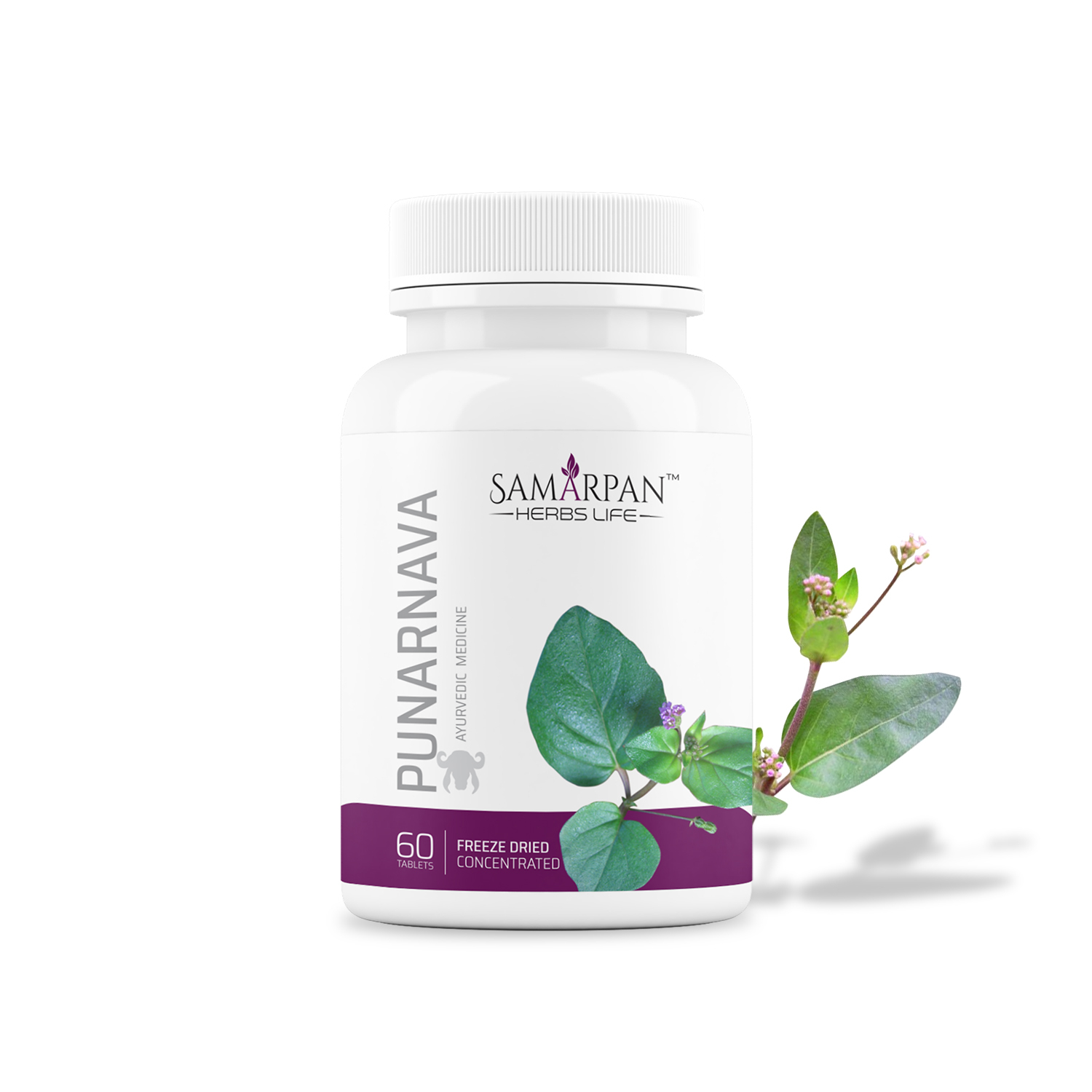 Samarpan Punarnava Capsules_